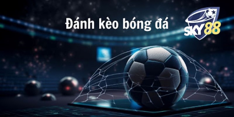 Tỷ Lệ Kèo